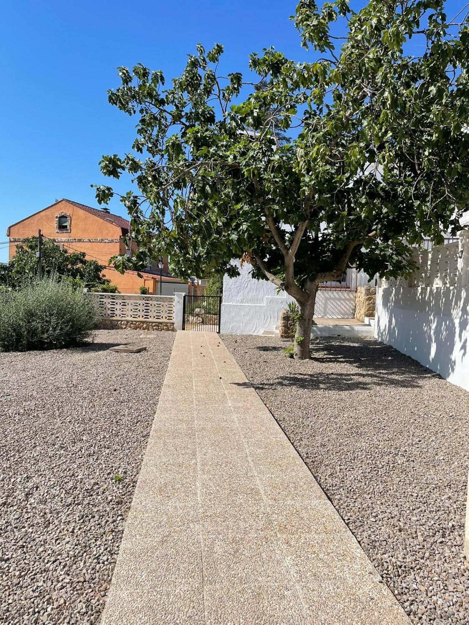 Djm Palms - Shared Casa Rural - Casa Rural Compartida - No Es Una Casa Privada Ayora Luaran gambar